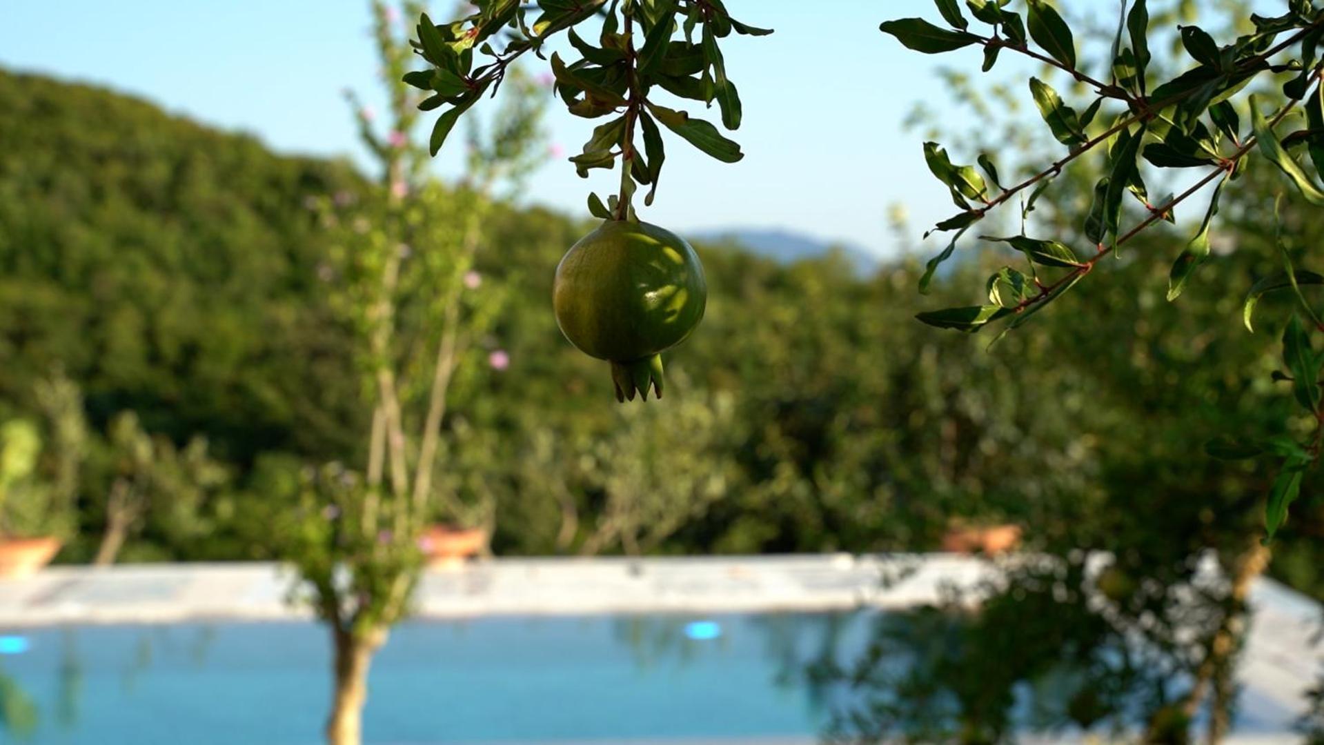 Villa Ndreca